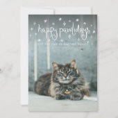 Happy Pawlidays Fun Stars Cat Foto Feiertagskarte (Vorderseite)