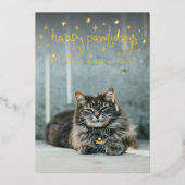Happy Pawlidays Fun Stars Cat Foto Folien Feiertagskarte (Vorderseite)