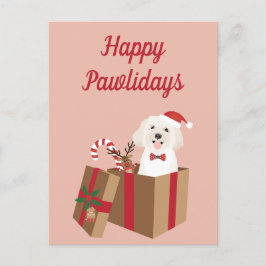 Happy Pawlidays Maltipoo Weihnachtsgeschenk Postkarte