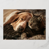 Happy Pawlidays Pet Foto Folien Feiertagskarte (Vorderseite)