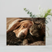 Happy Pawlidays Pet Foto Folien Feiertagskarte (Stehend vorne)