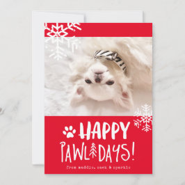 Happy Pawlidays | Pet Foto Holiday Card Feiertagskarte