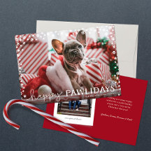 Happy Pawlidays Pet Lover Holiday Foto Card