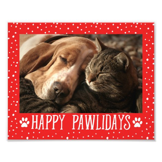 Happy Pawlidays | Red Holiday Fotodruck (Vorne)