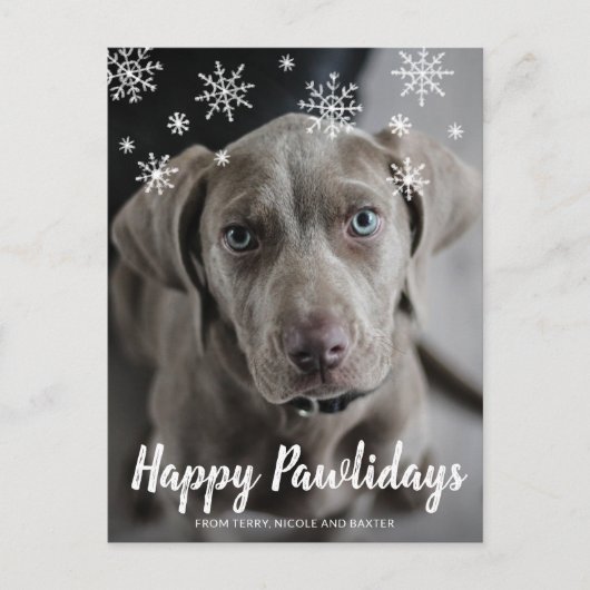 Happy Pawlidays Snowflakes Dog Foto Weihnachten (Vorderseite)