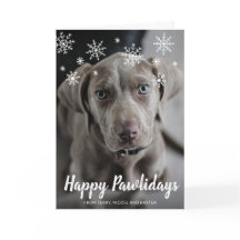 Happy Pawlidays Snowflakes Dog Foto Weihnachten