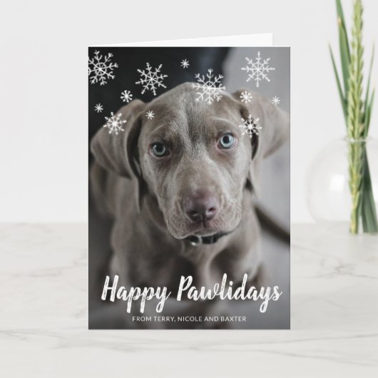 Happy Pawlidays Snowflakes Dog Foto Weihnachten (Vorderseite)