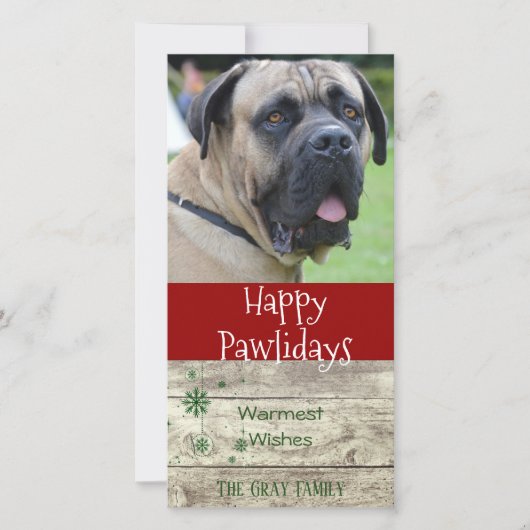 Happy Pawlidays | Weihnachtsgrüße Foto Feiertagskarte (Vorderseite)