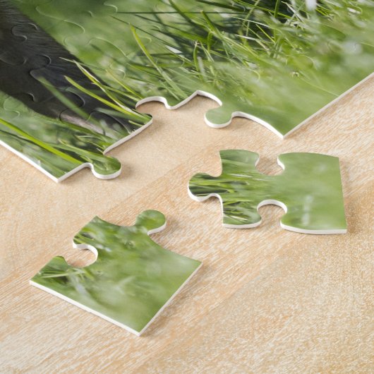 Happy Pet Mini Pig Puzzle (Seite)