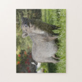 Happy Pet Mini Pig Puzzle (Vertikal)