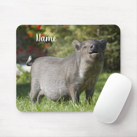 Happy Pet Mini Pot Bely Pig Mousepad (Mit Mouse)