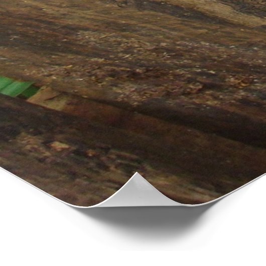 Happy Pig Poster (Ecke)