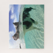 Happy Pig Schwimmen mit dem Fish Jigsaw Puzzle (Vertikal)