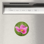Happy Pink Cosmos Blume Magnet (In Situ (Geschirrspüler))