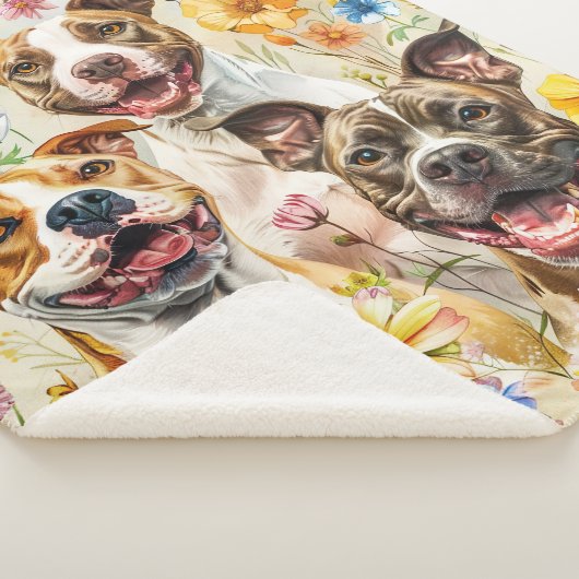 Happy Pitbull Hunde, Pit Bulls Sherpadecke (3/4)