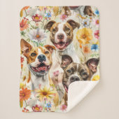 Happy Pitbull Hunde, Pit Bulls Sherpadecke (Vorderseite)