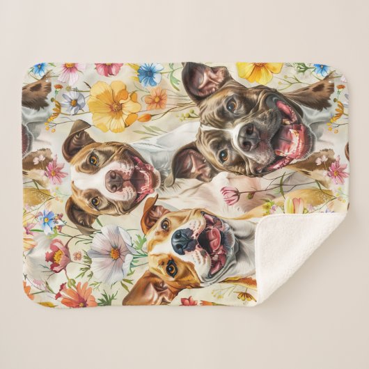 Happy Pitbull Hunde, Pit Bulls Sherpadecke (Vorderseite (Horizontal))