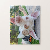 Happy Pointer Puzzle (Vertikal)