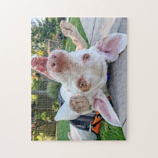 Happy Pointer Puzzle (Vertikal)