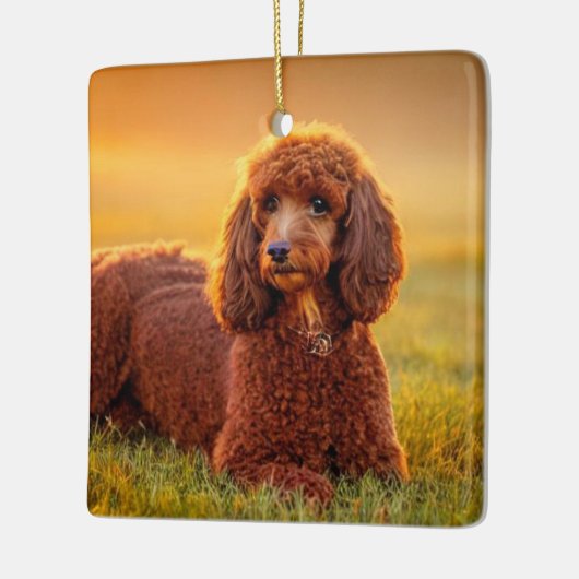 Happy Poodle Keramikornament (Links)