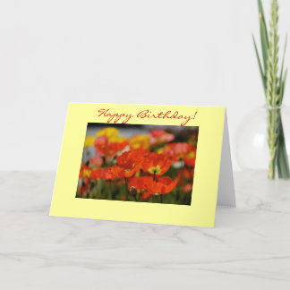 Happy Poppy Birthday Card Karte