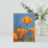 Happy Poppy Postkarte (Stehend Vorderseite)