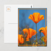 Happy Poppy Postkarte (Vorne/Hinten)