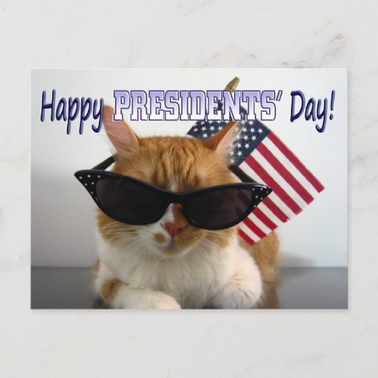 Happy President' Day Cool Cat with Flag Postcard Postkarte (Vorderseite)
