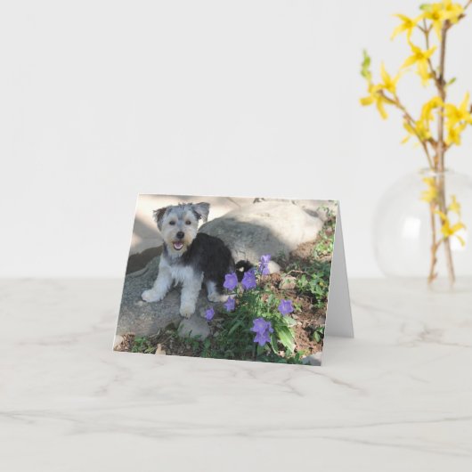 Happy Puppy Blank Note Card Karte (Gelbe Blume)