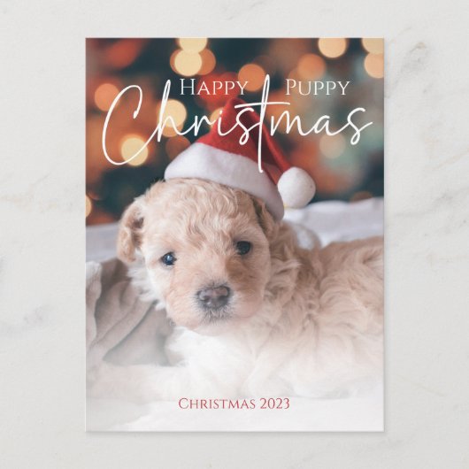 Happy Puppy Christmas Foto Postkarte (Vorderseite)