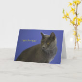 Happy Purr Day Russian Blue by Focus für eine Sach Karte (Gelbe Blume)