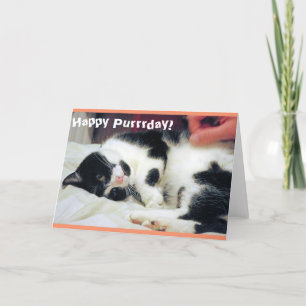 Happy Purrday Cat Card Karte