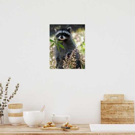 HAPPY RACCOON POSTER (Küche)