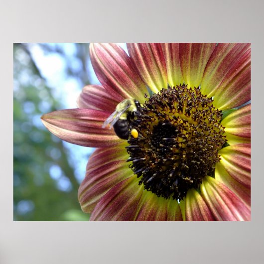 Happy Red Sunflower N Bee Poster (Vorne)