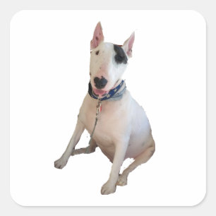Happy Rex Aufkleber