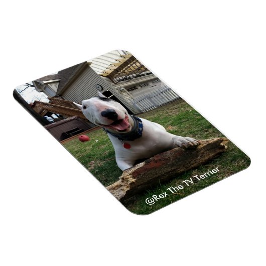 Happy Rex Magnet (Rechte Seite)