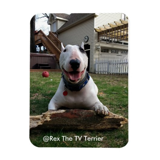 Happy Rex Magnet (Vertikal)