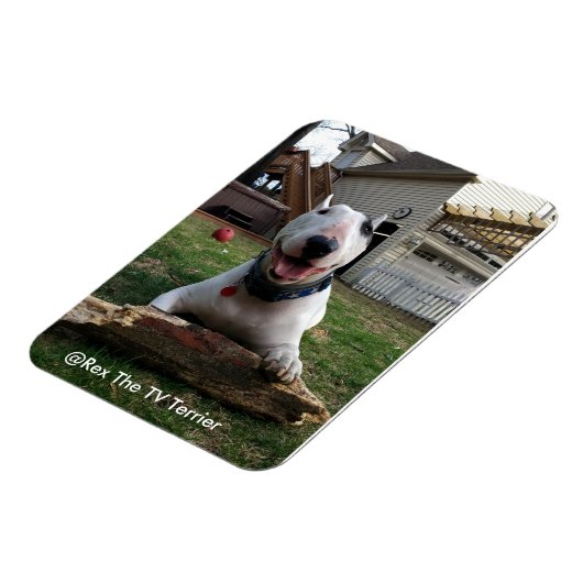 Happy Rex Magnet (Linke Seite)