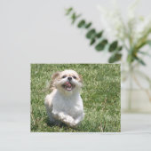 Happy Run Shih Tzu Postkarte (Stehend Vorderseite)