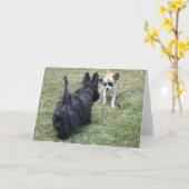 Happy Scottish Terrier & Friend Card Karte (Gelbe Blume)