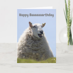 Happy Sheep Birthday Card Karte