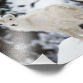 Happy Sheep Family Fotodruck (Ecke)