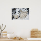 Happy Sheep Family Poster (Küche)