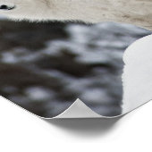 Happy Sheep Family Poster (Ecke)