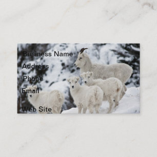 Happy Sheep Family Visitenkarte