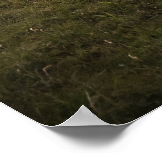 Happy Sheep Poster (Ecke)