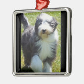 HAPPY SHEEPDOG CHRISTMAS ORNANATION SILBERNES ORNAMENT (Links)
