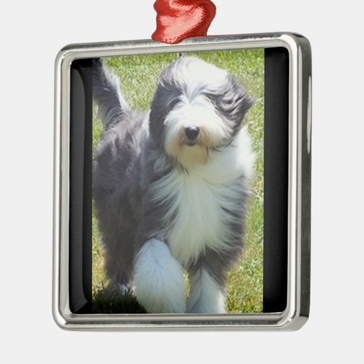 HAPPY SHEEPDOG CHRISTMAS ORNANATION SILBERNES ORNAMENT (Links)