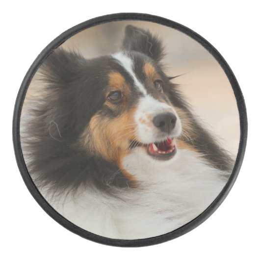 Happy Shelty Eishockey Puck (Vorderseite)
