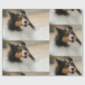 Happy Shelty Geschenkpapier (Flach)